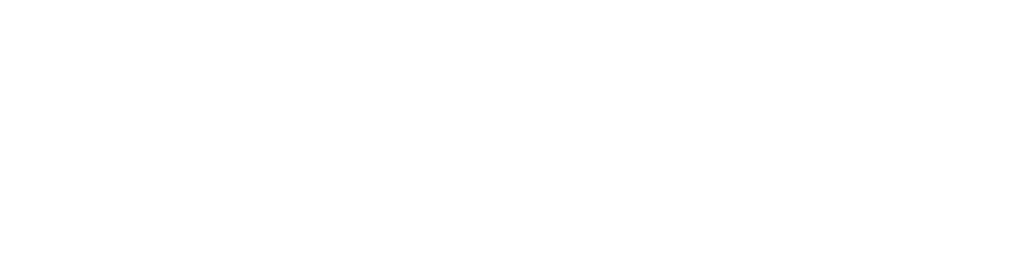 SLEVE